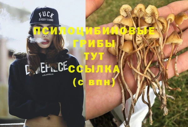 эйфоретик Магадан