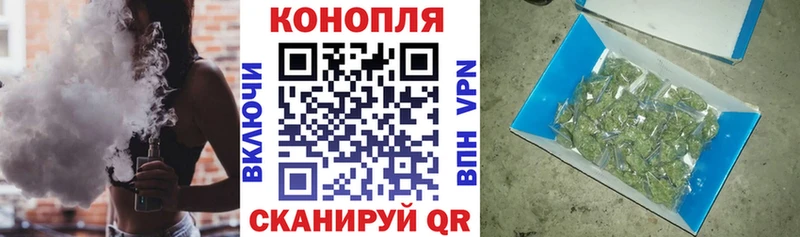 сколько стоит  Павловск  Конопля MAZAR 